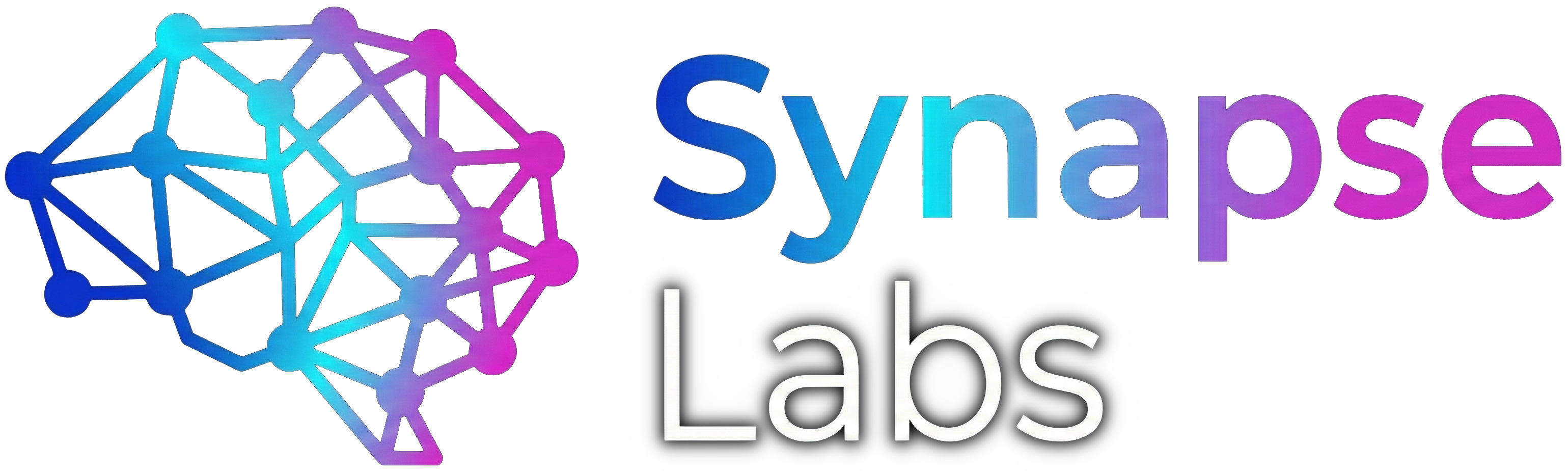 Synapse Labs